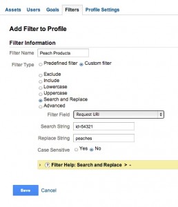 Google Analytics Filters
