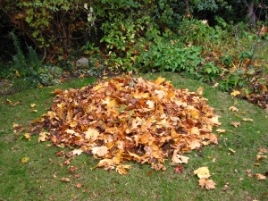 heap of leaves